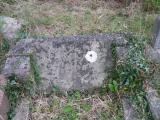 image of grave number 154096